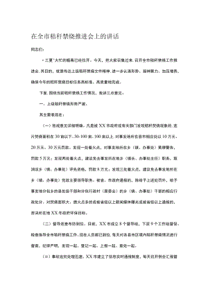 在全市秸秆禁烧推进会上的讲话.docx