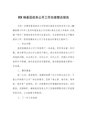 XX镇基层政务公开工作自查整改报告.docx