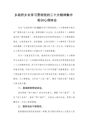 乡政府乡长学习贯彻党的二十大精神集中轮训心得体会.docx