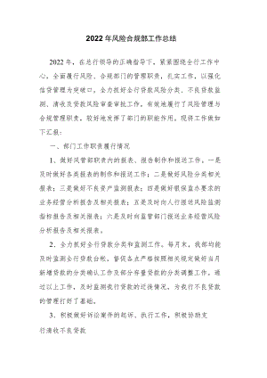 2022年风险合规部工作总结.docx