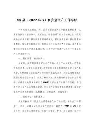 2022年XX乡安全生产工作总结.docx