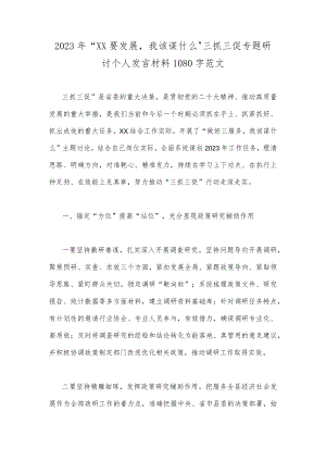 2023年“XX要发展我该谋什么”三抓三促专题研讨个人发言材料1080字范文.docx