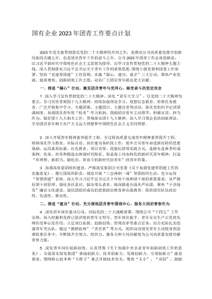国有企业2023年团青工作要点计划.docx