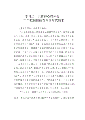 学习二十大精神心得体会：牢牢把握团结奋斗的时代要求.docx