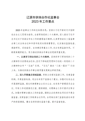 辽源市供销合作社监事会2023年工作要点.docx