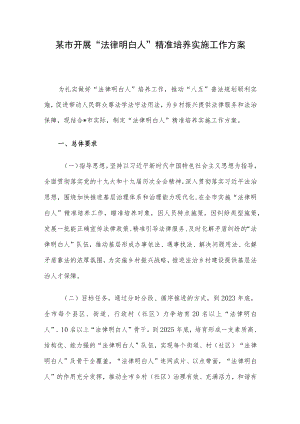 某市开展“法律明白人”精准培养实施工作方案.docx