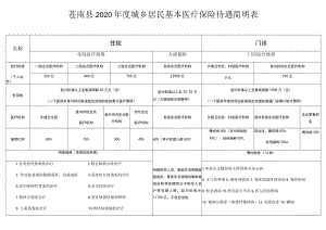 苍南县2020年度城乡居民基本医疗保险待遇简明表.docx