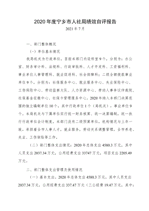 2020年度宁乡市人社局绩效自评报告.docx