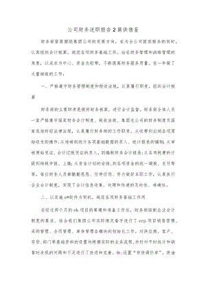 公司财务述职报告2篇供借鉴.docx