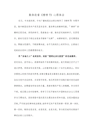 集体收看《榜样7》心得体会.docx