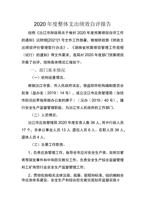 2020年度整体支出绩效自评报告.docx