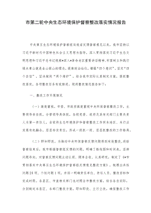 市第二轮中央生态环境保护督察整改落实情况报告.docx