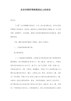 在全市秸秆禁烧推进会上的讲话.docx