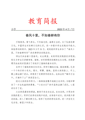 开展插秧实践活动简报.docx