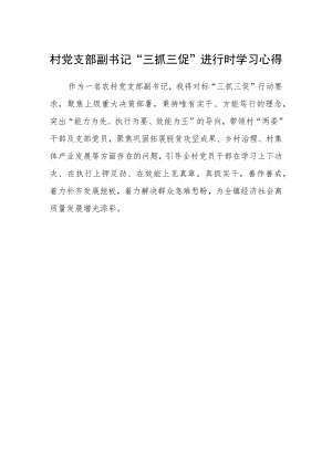 村党支部副书记“三抓三促”进行时学习心得.docx