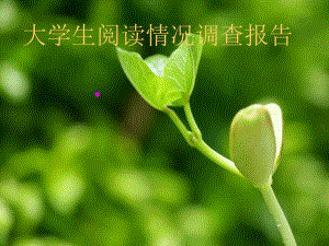 大学生阅读情况调查报告.ppt