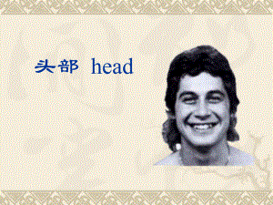 头部(研究生).ppt