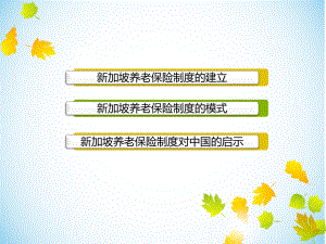 新加坡养老保险制度.ppt