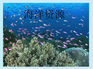 海洋资源与海洋环境保护.ppt