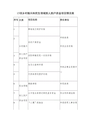 15项乡村振兴和民生领域到人到户资金项目情况表.docx