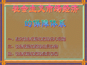 社会主义市场经济的社会保障制度.ppt
