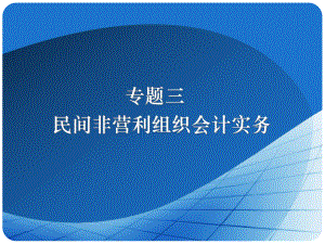民间非营利组织会计实务.ppt