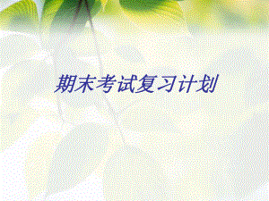 期末考试复习计划.ppt