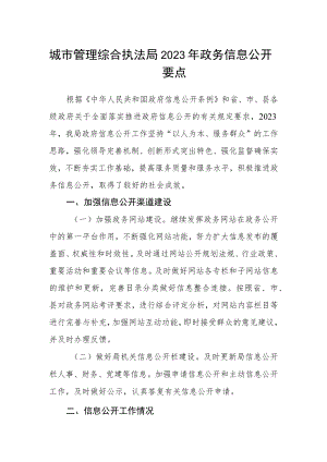 城市管理综合执法局2023年政务信息公开要点.docx