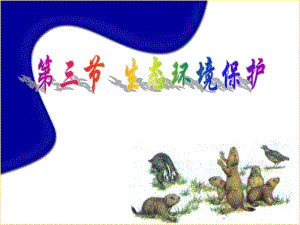 生态环境保护.ppt