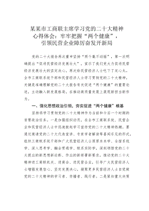 某某市工商联主席学习党的二十大精神心得体会：牢牢把握“两个健康”引领民营企业踔厉奋发开新局.docx