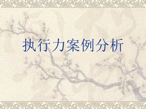 案例分析执行力.ppt