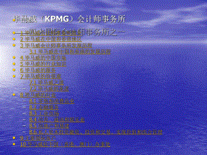 毕马威会计师事务所.ppt