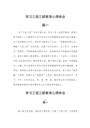 学习三促三抓教育心得体会六篇.docx