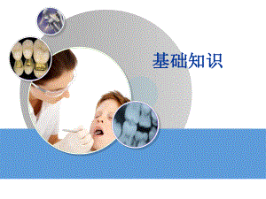 牙齿基础知识.ppt