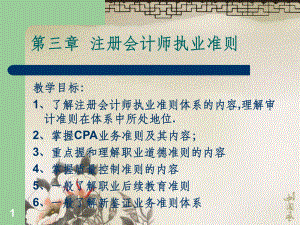 注册会计师执业准则.ppt