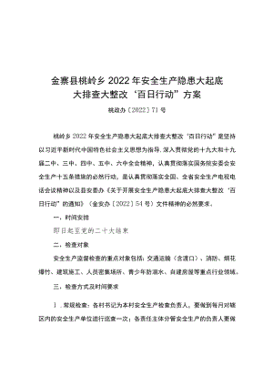 金寨县桃岭乡2022年安全生产隐患大起底大排查大整改“百日行动”方案.docx