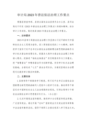 审计局2023年普法依法治理工作要点.docx