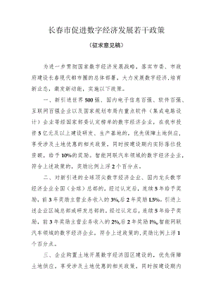 长春市促进数字经济发展若干政策.docx