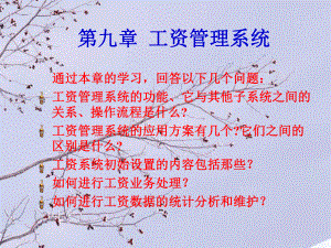 第九章会计电算化工资管理系统.ppt