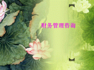 财务管理咨询.ppt