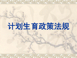 计划生育课件PPT.ppt
