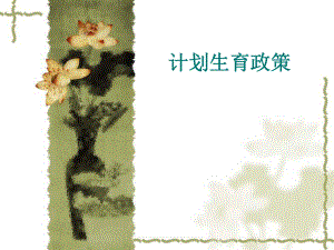 计划生育政策.ppt.ppt
