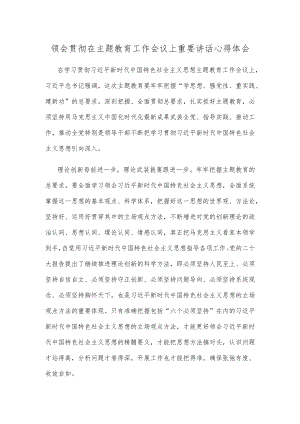 领会贯彻在主题教育工作会议上重要讲话心得体会.docx