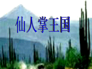 《仙人掌王国》课件.ppt