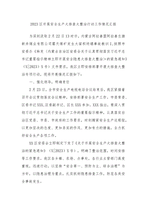 2023X区开展安全生产大排查大整治行动工作情况汇报.docx