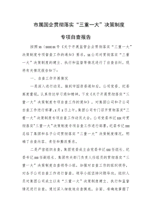 市属国企贯彻落实“三重一大”决策制度专项自查报告.docx