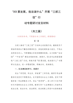 2023年“XX要发展、我该谋什么”三抓三促专题大讨论研讨个人心得体会发言材料（共3篇）.docx
