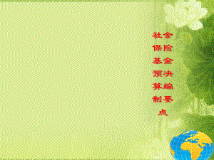 社会保险基金预决算编制要点.ppt