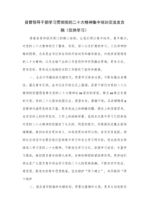 县管领导干部学习贯彻党的二十大精神集中培训交流发言稿.docx