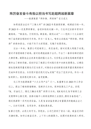 能源集团两珍惜两保持征文奋斗担当.docx